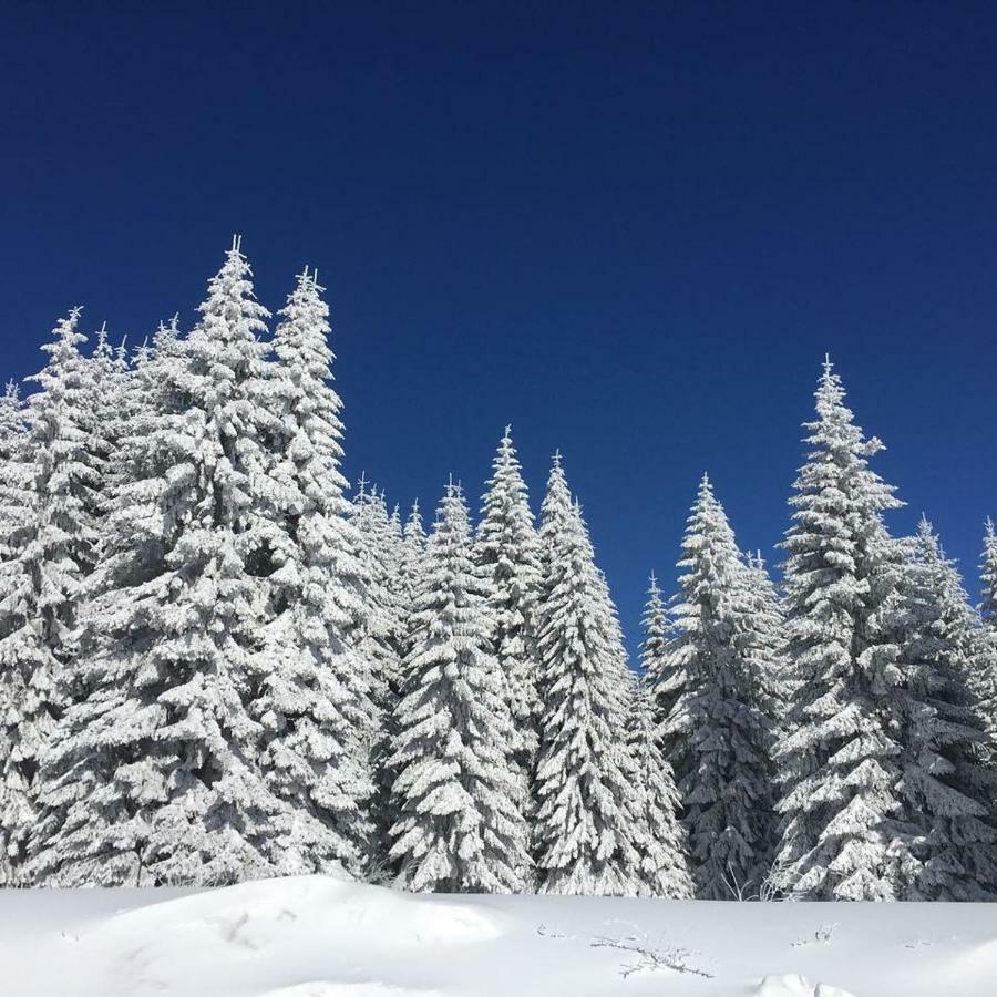 Apartmani Nicole Kopaonik Esterno foto