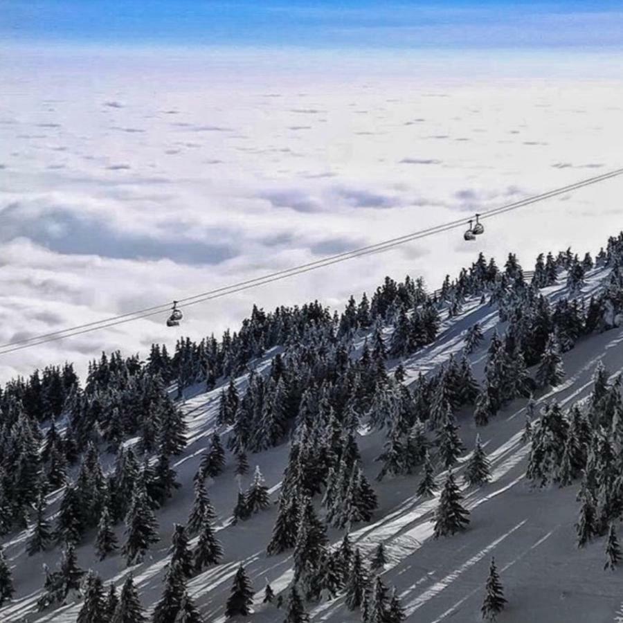 Apartmani Nicole Kopaonik Esterno foto